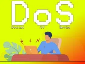 آسیب‌پذیری DoS