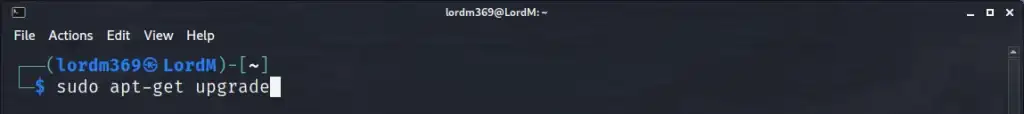 sudo apt-get upgrade