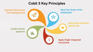 Cobit-5-Key-Principles