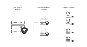 PKI