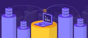 what is ssh