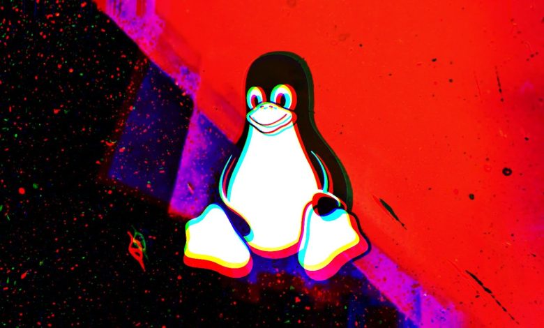 بدافزار جدید Plague در سیستم‌های Linux به‌صورت مخفیانه دسترسی SSH را حفظ می‌کند.