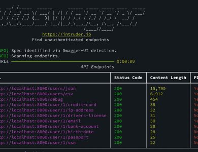 شناسایی نقص‌های API با ابزار رایگان Free Autoswagger